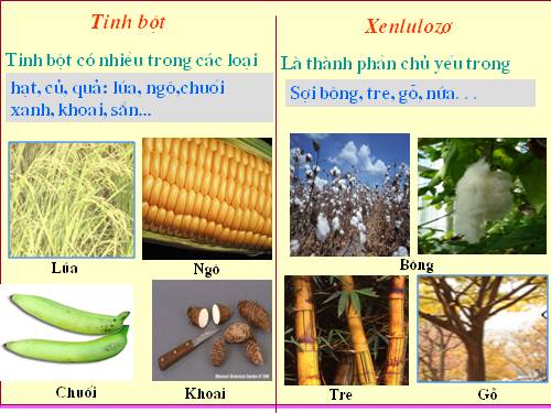 Hình vẽ các dụng cụ thí nghiệm