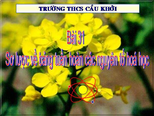 Bài 31. Sơ lược về bảng tuần hoàn các nguyên tố hoá học