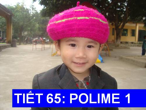 Bài 54. Polime