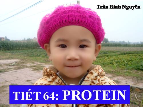 Bài 53. Protein