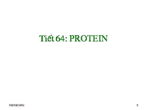 Bài 53. Protein