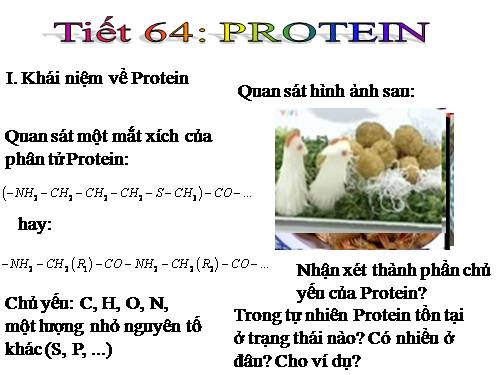 Bài 53. Protein