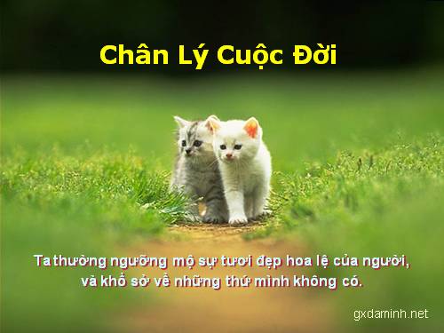 Chân lý cuộc đời