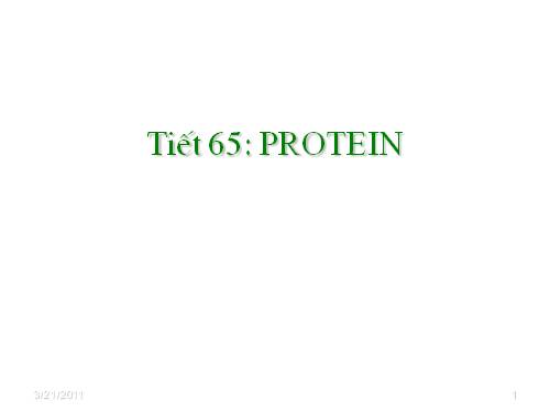 Bài 53. Protein