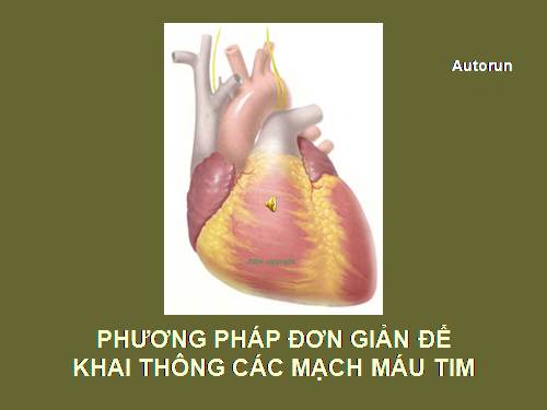 Sinh học: STGT thông tim cho người bị tắc