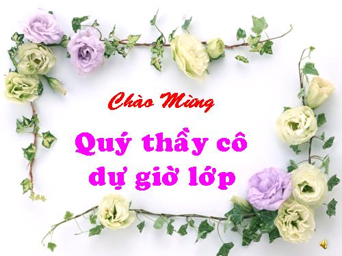 Bài 17. Dãy hoạt động hoá học của kim loại