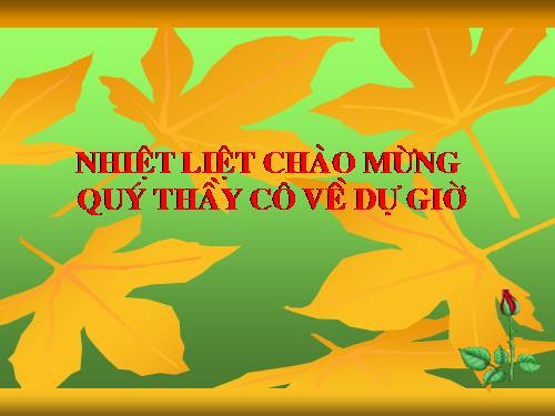 Bài 47. Chất béo