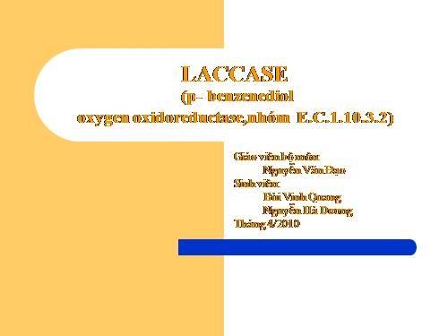 enzyme lacase