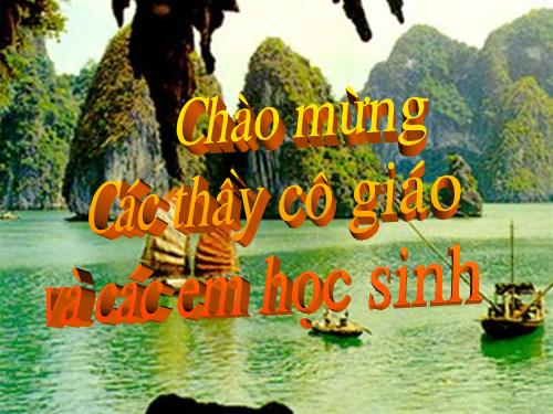 Bài 47. Chất béo