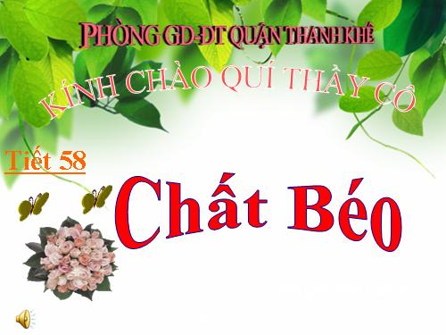 Bài 47. Chất béo