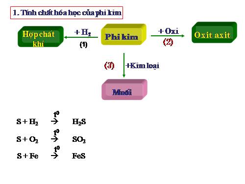 Bài 25. Tính chất của phi kim