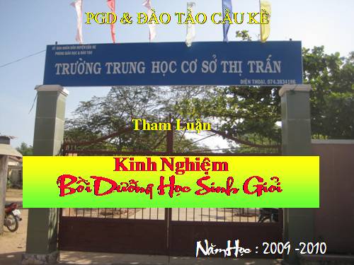 tham luận