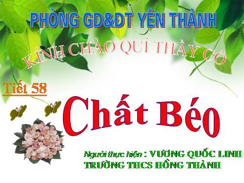 Bài 47. Chất béo