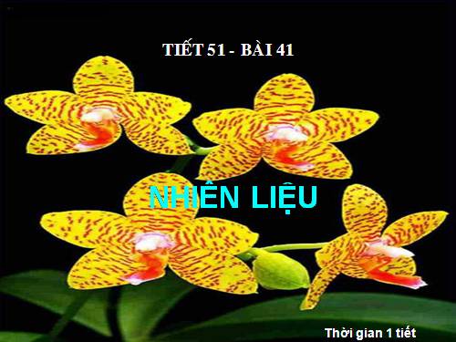 Bài 41. Nhiên liệu