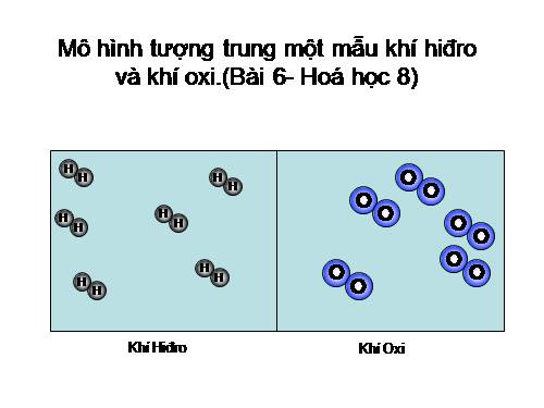 Mô phỏng một số thí nghiệm