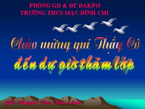 Bài 23. Thực hành: Tính chất hoá học của nhôm và sắt