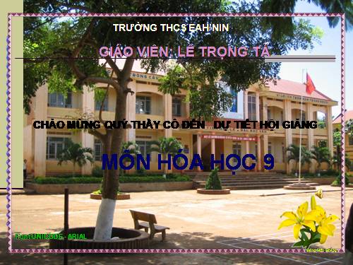 Bài 17. Dãy hoạt động hoá học của kim loại