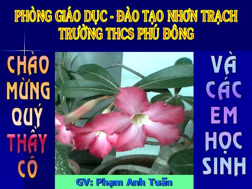 Bài 16. Tính chất hoá học của kim loại