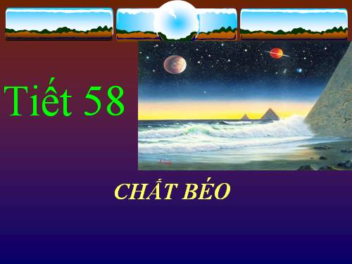 Bài 47. Chất béo