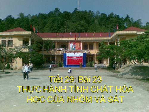 Bài 23. Thực hành: Tính chất hoá học của nhôm và sắt