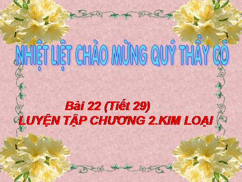 Bài 22. Luyện tập chương 2: Kim loại