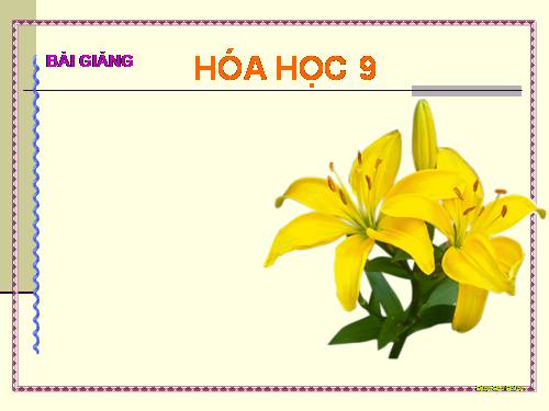 Bài 17. Dãy hoạt động hoá học của kim loại