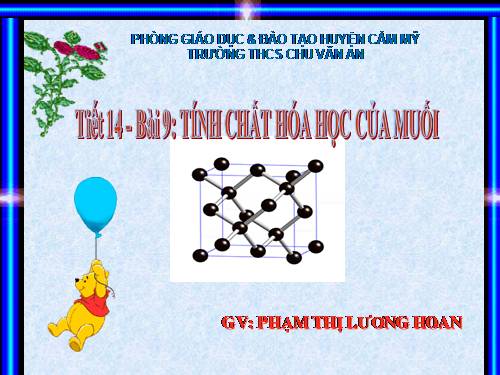 Bài 9. Tính chất hoá học của muối