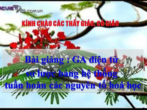 Bài 31. Sơ lược về bảng tuần hoàn các nguyên tố hoá học