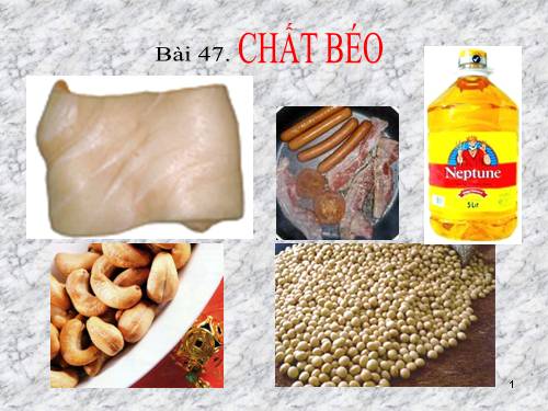 Bài 47. Chất béo