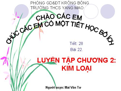 Bài 22. Luyện tập chương 2: Kim loại