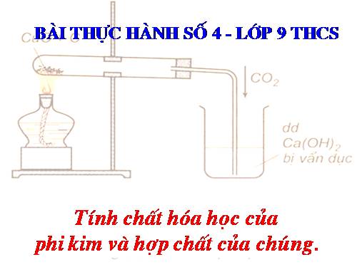 Bài 33. Thực hành: Tính chất hoá học của phi kim và hợp chất của chúng