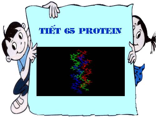 Bài 53. Protein