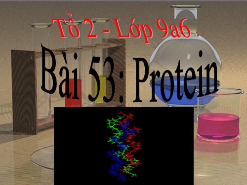 Bài 53. Protein