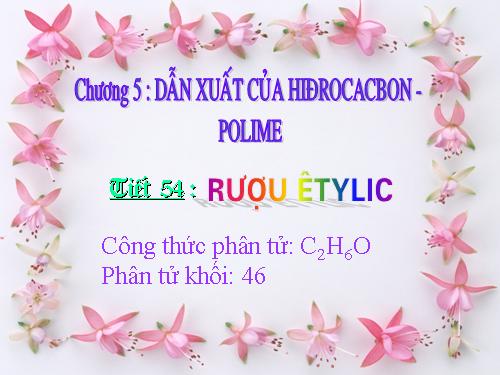 Bài 44. Rượu etylic