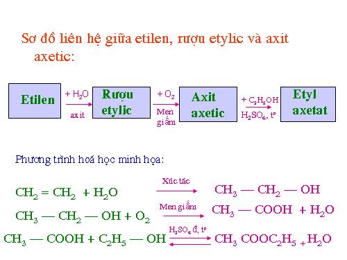 Bài 46. Mối liên hệ giữa etilen, rượu etylic và axit axetic