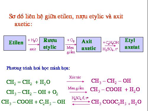 Bài 46. Mối liên hệ giữa etilen, rượu etylic và axit axetic