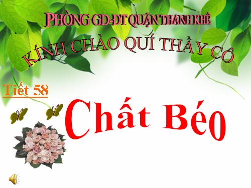 Bài 47. Chất béo