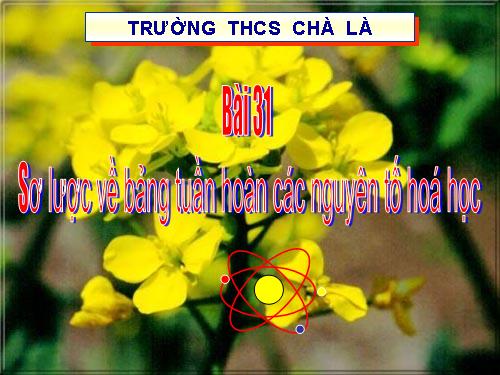 Bài 31. Sơ lược về bảng tuần hoàn các nguyên tố hoá học