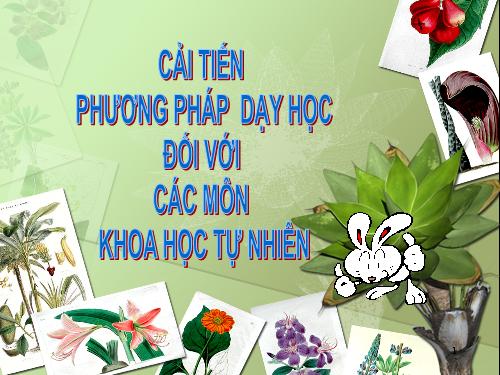 Một số phuơng pháp giảng dạy mới