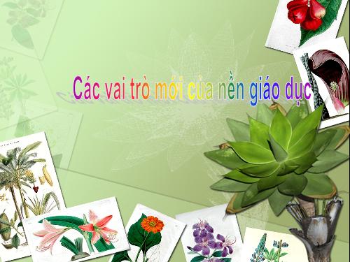 Các vai trò mới của nền giáo dục