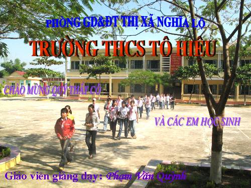 Bài 23. Thực hành: Tính chất hoá học của nhôm và sắt