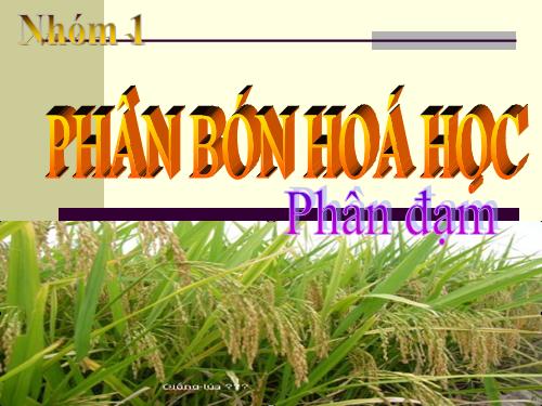 Bài 11. Phân bón hoá hoc