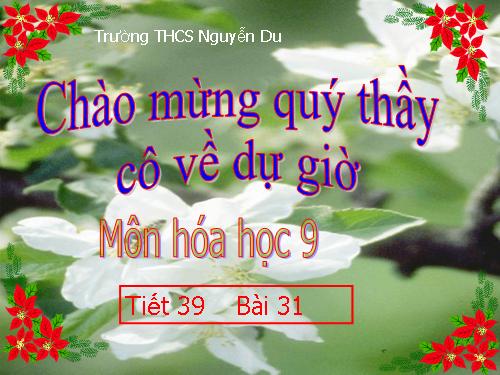 Bài 31. Sơ lược về bảng tuần hoàn các nguyên tố hoá học