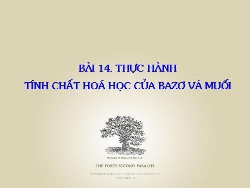 Bài 14. Thực hành: Tính chất hoá học của bazơ và muối