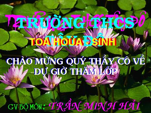 Bài 9. Tính chất hoá học của muối