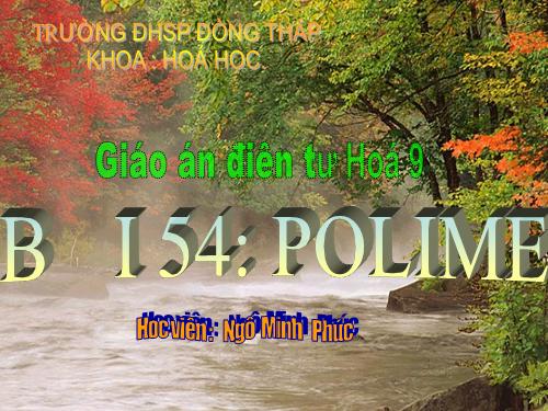 Bài 54. Polime