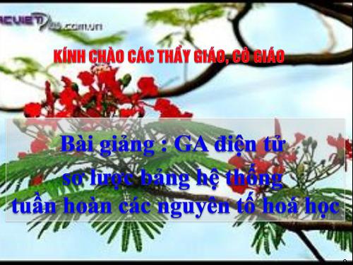 Bài 31. Sơ lược về bảng tuần hoàn các nguyên tố hoá học