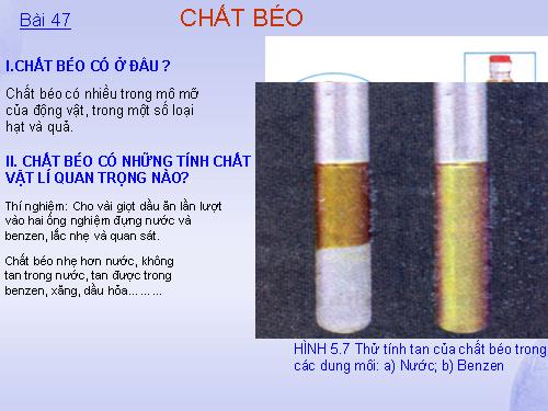 Bài 47. Chất béo