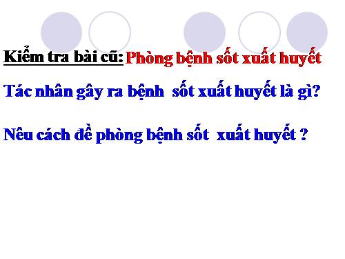 Bài 13. Phòng bệnh sốt xuất huyết