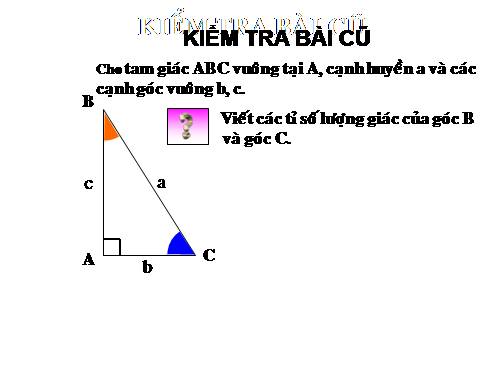 Chương I. §4. Một số hệ thức về cạnh và góc trong tam giác vuông